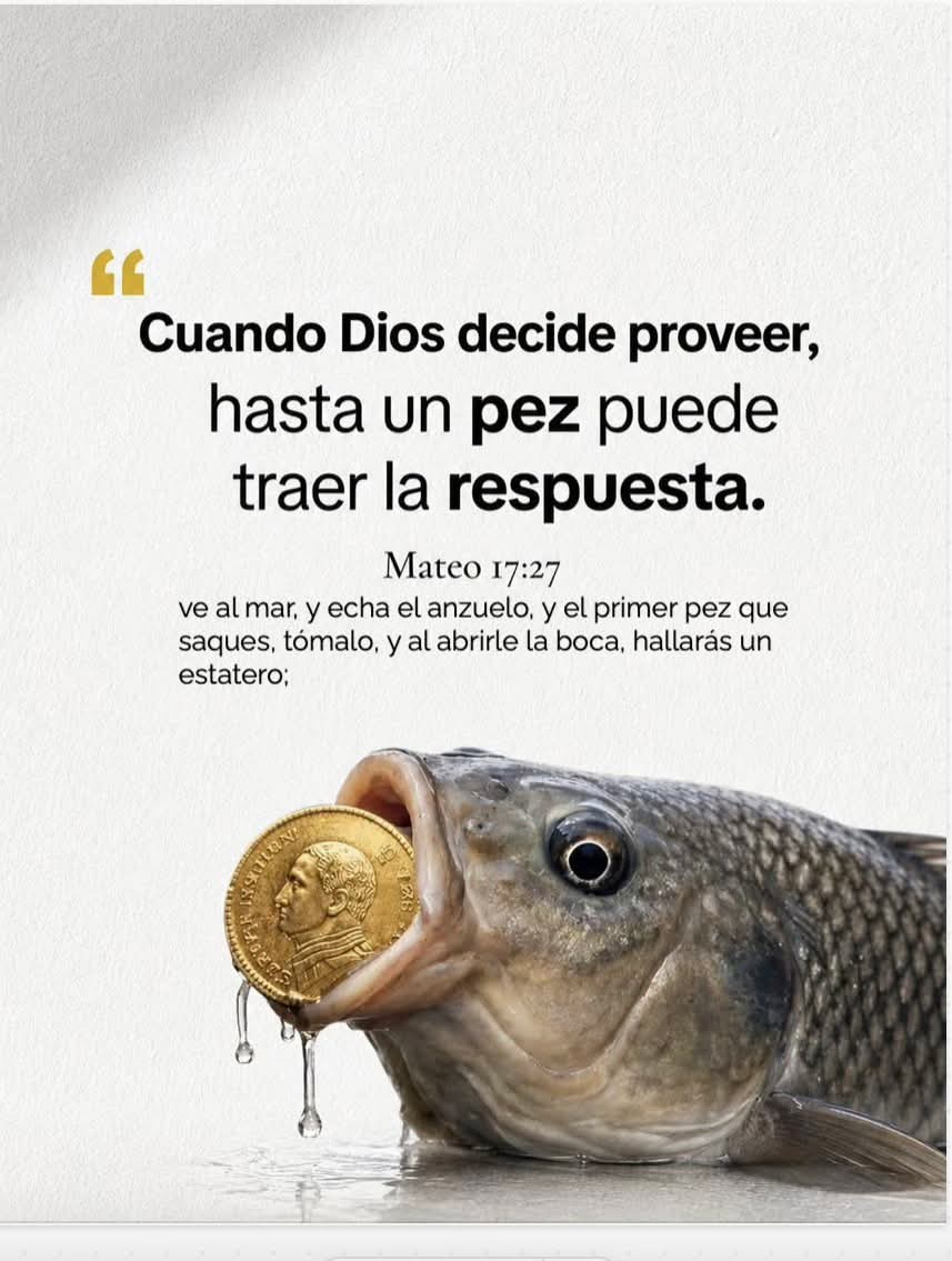 Devocional Biblia Abierta — publicación 7